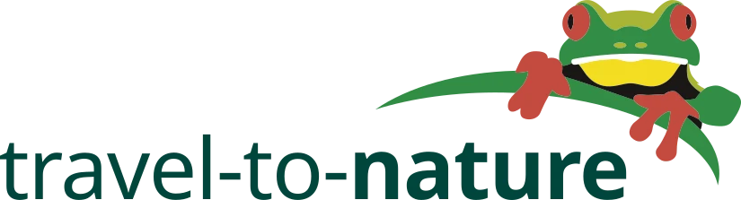 ttn
